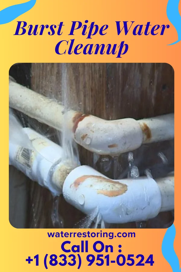 Burst Pipe Water Cleanup in DeWitt, MI