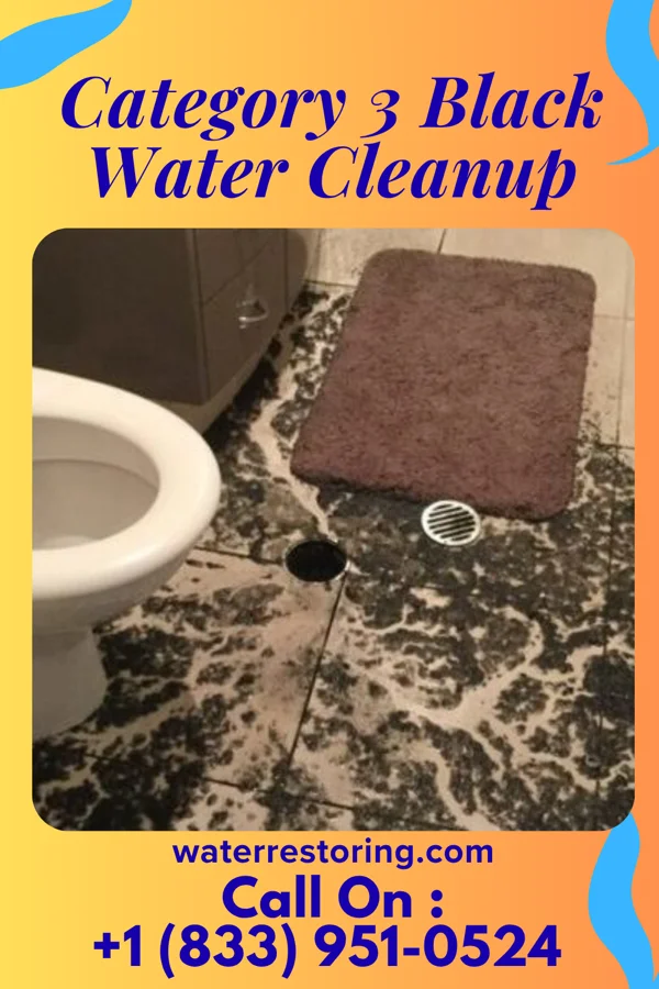 Category 3 Black Water Cleanup in DeWitt, MI