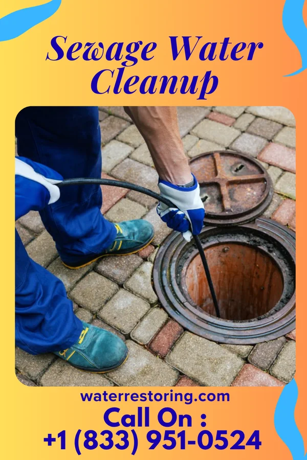 Sewage Water Cleanup in DeWitt, MI